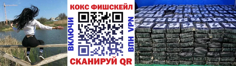 Купить где Ирбит COCAIN 99%