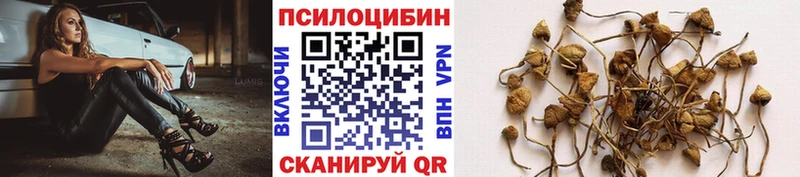 Псилоцибиновые грибы Cubensis Ирбит